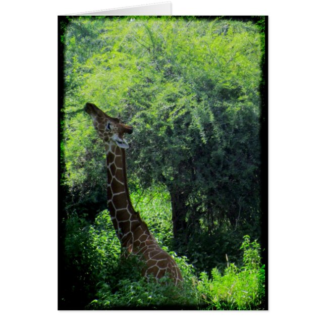 Bete Giraffe Hälsningskort (Framsidan)