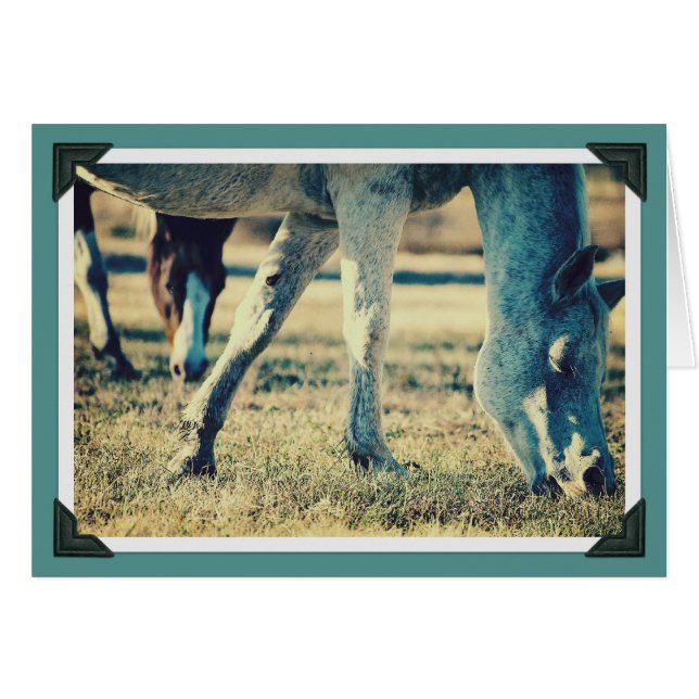 Betesdjur Hälsningskort (Framsidan Horizontal)