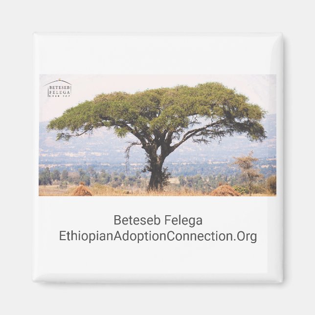 Beteseb Felega Kitchen Magnet (Framsidan)