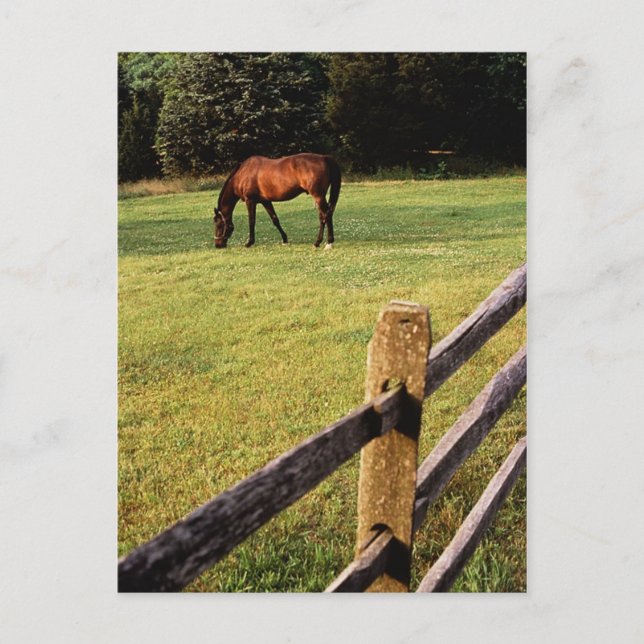 Betesfack Vykort (Framsida)