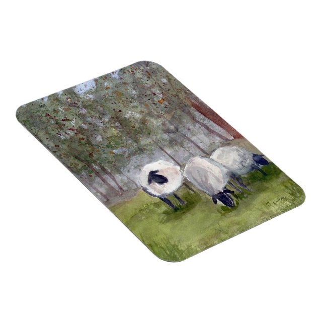 Betesfår Magnet (Högersidan)