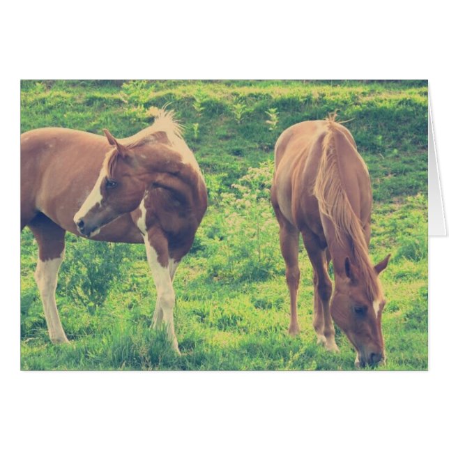 Beteshästar Hälsningskort (Framsidan Horizontal)