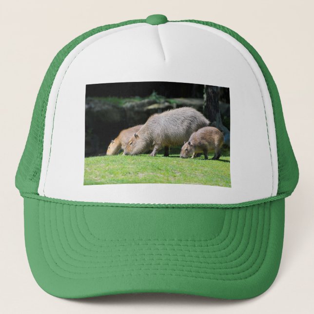 Betesmark av Capybaras Keps (Framsida)