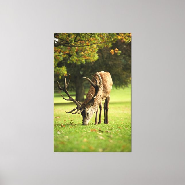 Betesstämpel Canvastryck (Framsida)