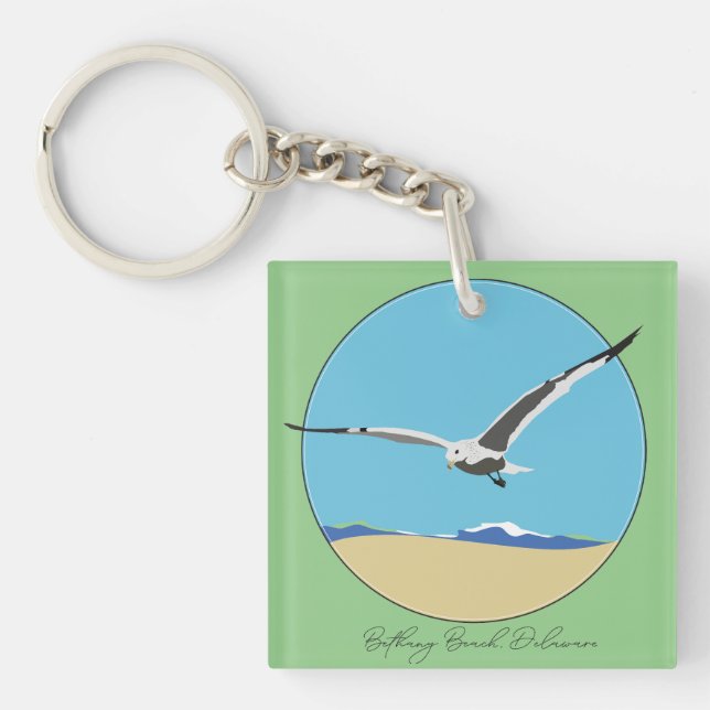 Bethany Beach, Delaware Sea Gull som flyger över B (Framsidan)