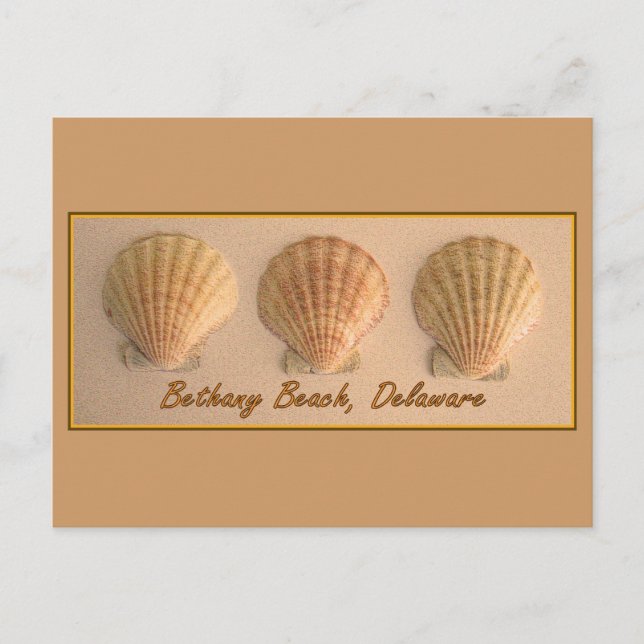 Bethany Beach, Delaware-vykort Vykort (Framsida)