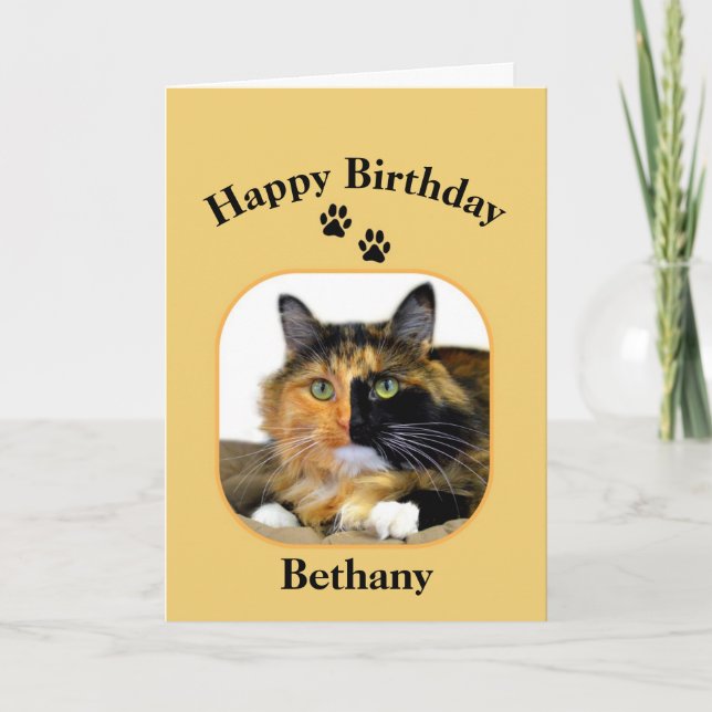 Bethany Calico Cat Grattis på födelsedagen Kort (Framsida)