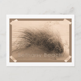 Bethany Grass Postcard Vykort