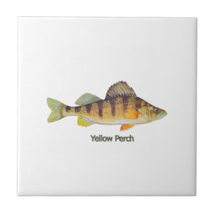 Betitlad gul Perch Kakelplatta