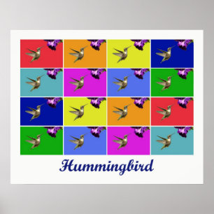 (Betitlad) Hummingbird x16, Poster