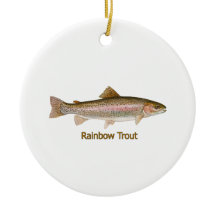 (Betitlad) regnbågeforell,