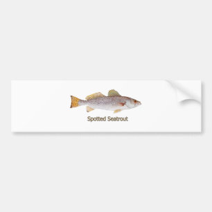 (Betitlade) prickiga Seatrout, Bildekal