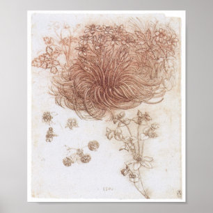 Betlehem och andra växter, Da Vinci Poster