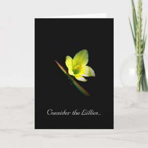 Betrakta Lilliesen 100 Kort