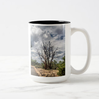 Betrakta ravensna muggen Två-Tonad mugg