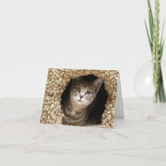 Betsy Ross Tack Kort