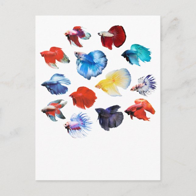 Betta 2 vykort (Framsida)