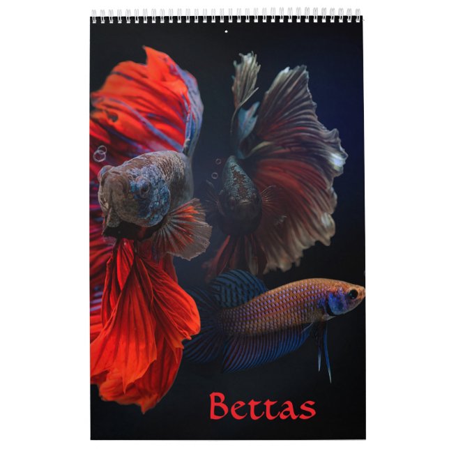 Betta fish Calendar Kalender (Omslag)