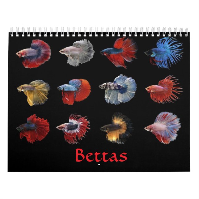 Betta fish Calendar Kalender (Omslag)