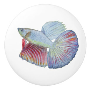 Betta Fish Ceramic Knob Knopp