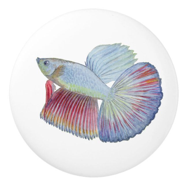 Betta Fish Ceramic Knob Knopp (Framsidan)