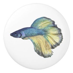 Betta Fish Ceramic Knob Knopp