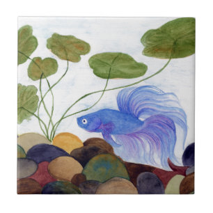 Betta Fish Kakelplatta