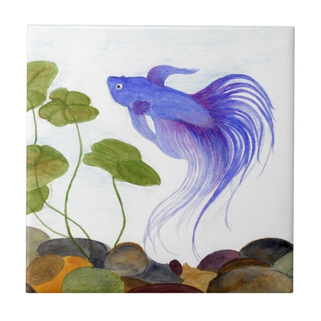 Betta Fish Kakelplatta (Framsidan)