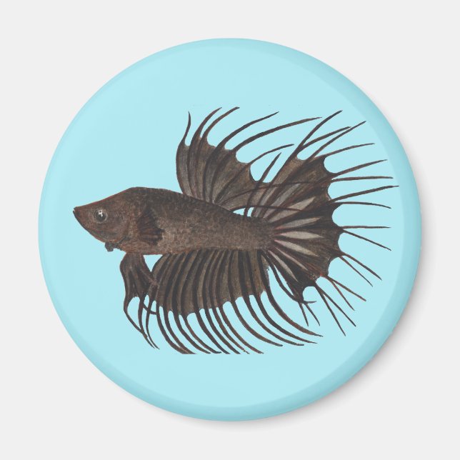 Betta Fish Magnet (Framsidan)