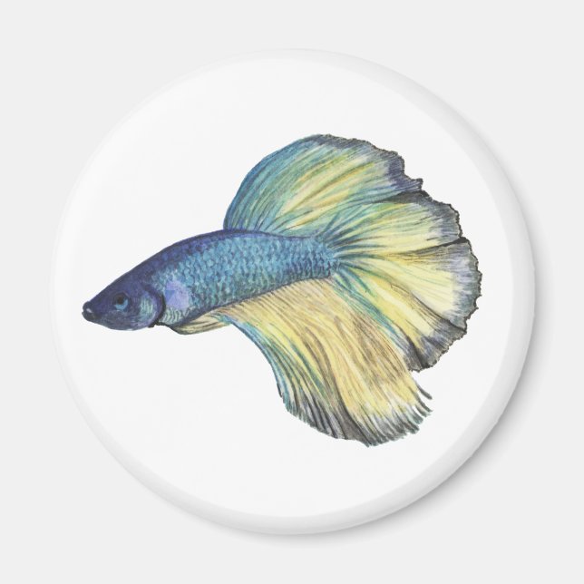 Betta Fish Magnet (Framsidan)