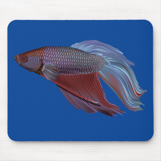 Betta Fish Musmatta (Framsidan)