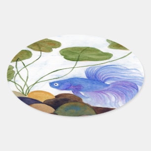 Betta Fish Ovalt Klistermärke