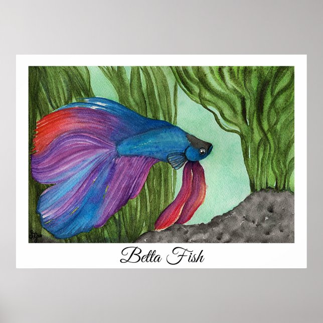 Betta Fish Poster (Framsidan)
