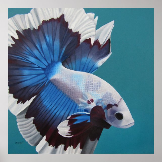 Betta Fish Poster (Framsidan)