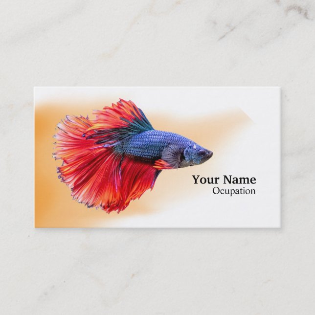 Betta Fish Visitkort (Framsida)