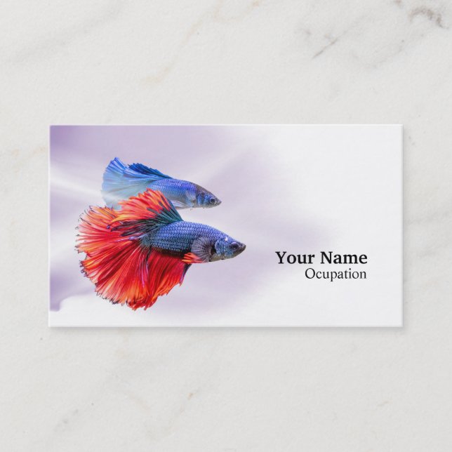 Betta Fish Visitkort (Framsida)