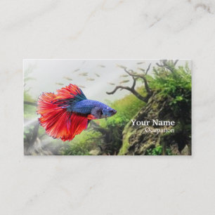 Betta Fish Visitkort