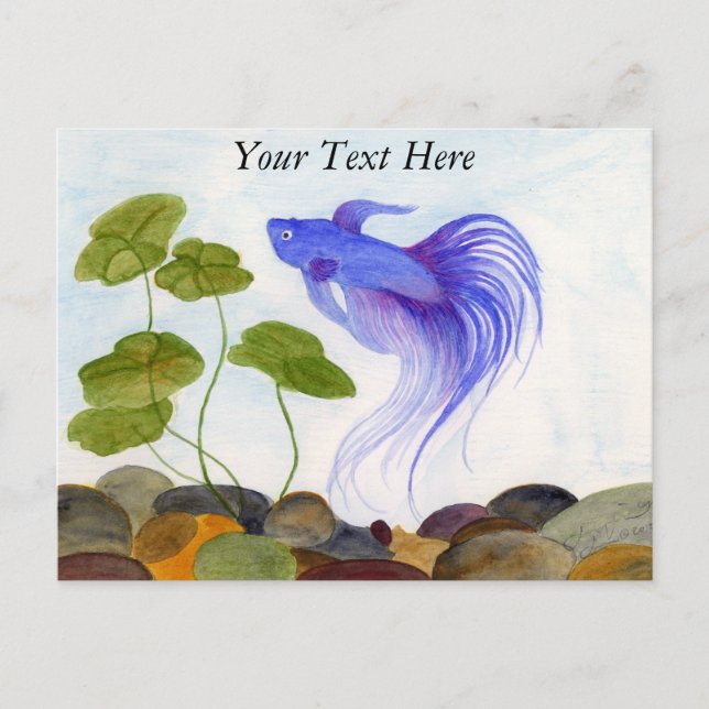 Betta Fish Vykort (Framsida)