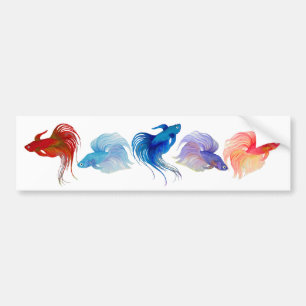 Betta Fishes Bildekal