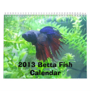 Betta fiskkalender 2013 kalender