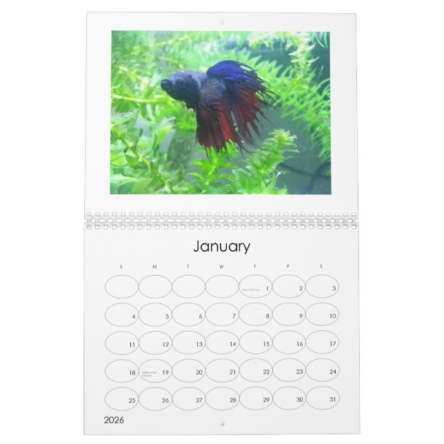 Betta fiskkalender 2013 kalender (Jan 2026)