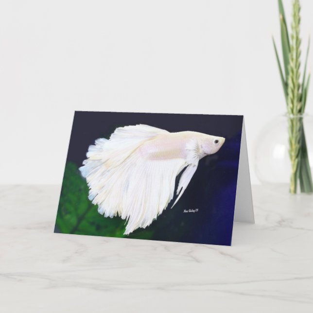 Betta-hälsningskort Kort (Framsida)
