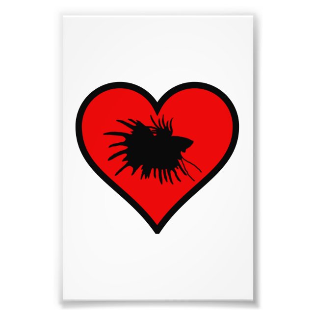 Betta Heart Kärlek Fish Silhouette Fototryck (Framsidan)