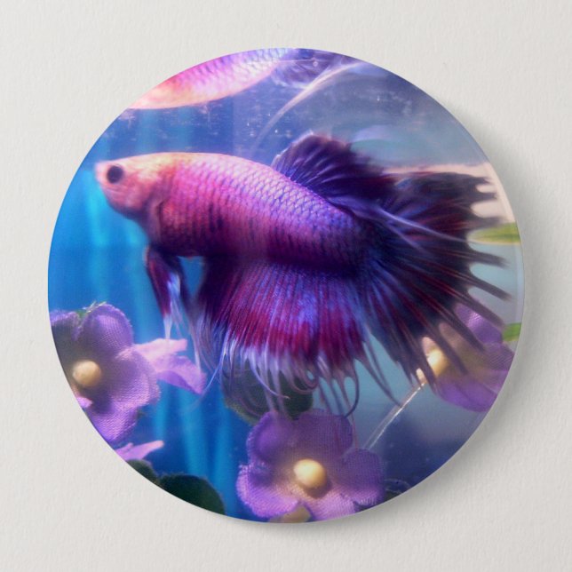 Betta knäppas knapp (Framsida)