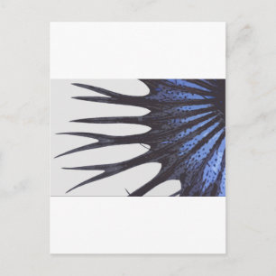 Betta kronntail vykort