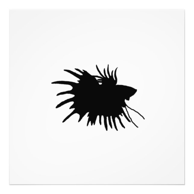 Betta Silhouette Kärlek Siamese Fighting Fish Fototryck (Framsidan)