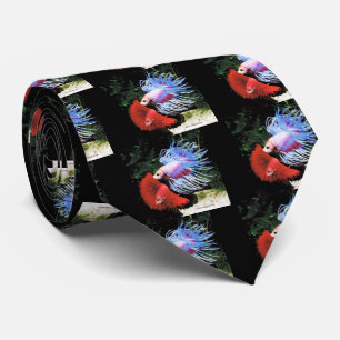 Betta splendens slips
