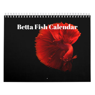 Bettafish 2025 kalender