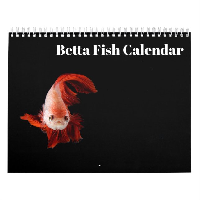 Bettafish 2025-kalender kalender (Omslag)