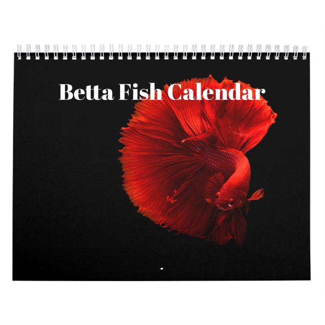 Bettafisk 2027 kalender (Omslag)